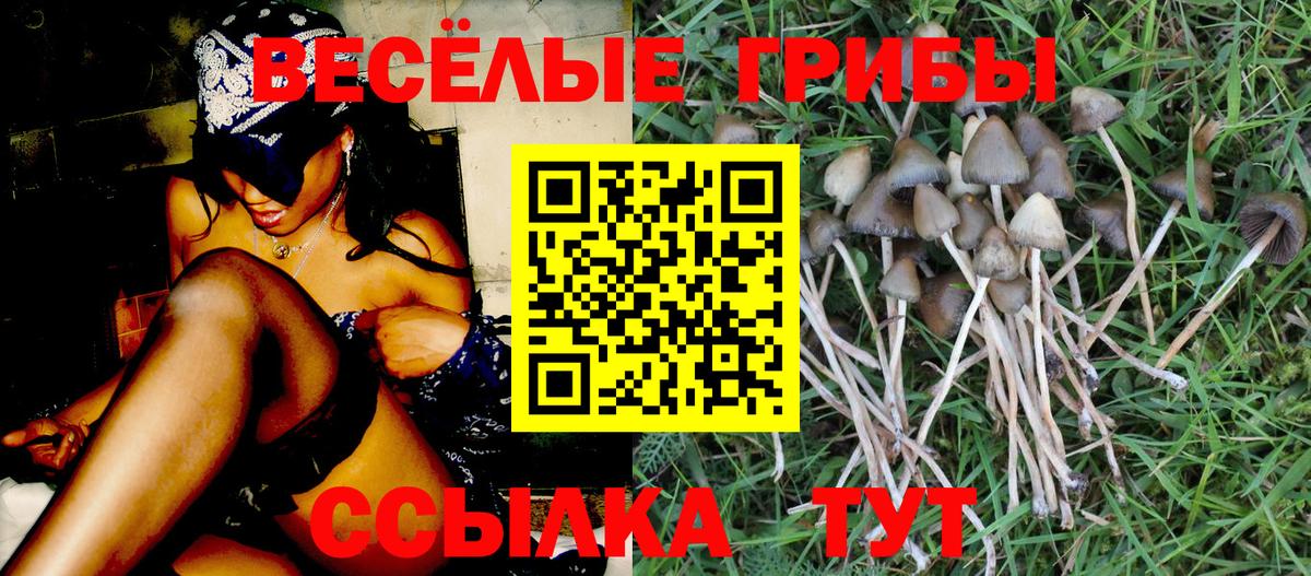 Галлюциногенные грибы прущие грибы  Галлюциногенные грибы мухоморы  Осинники  Вход с VPN 