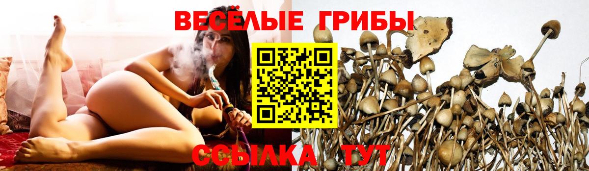 Псилоцибиновые грибы мицелий Осинники